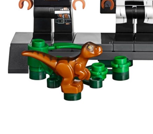 mini raptor